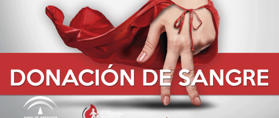 101362392_656892141558095_4935169803972247552_o