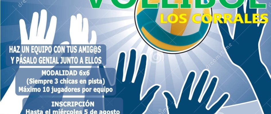 campeonato_local_de_voleibol_2015.jpg