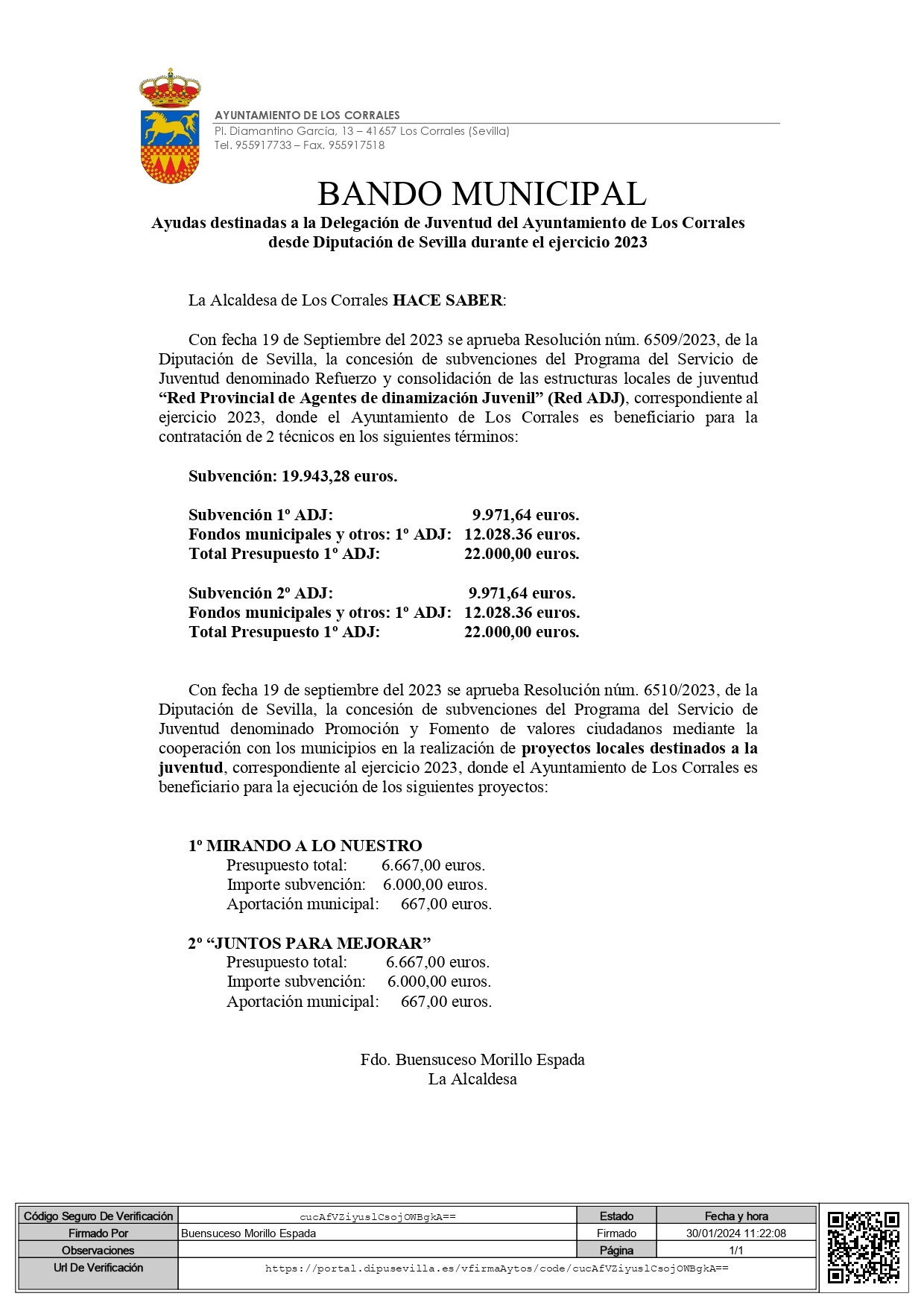 Bando alcaldía Subvenciones . (1)_page-0001